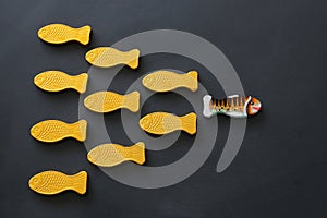 different fish swimming opposite way of identical ones. Courage and success concept. Blackboard background.