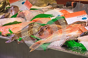 Different fish in a traditional market in Bilbao, Spain