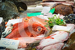 Different fish in a traditional market in Bilbao, Spain