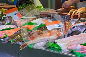 Different fish in a traditional market in Bilbao, Spain