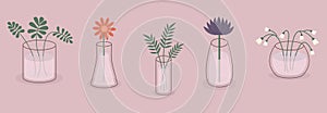 Different flowers, plant leaves. Glass vases with water. Flower in vase set line. Daisy chamomile, gerbera, aster, lily of valley