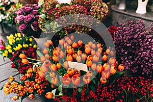 Different flowers in a shop show window with blank price tags