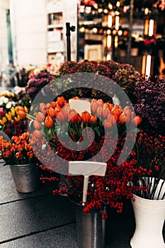 Different flowers in a shop show window with blank price tags