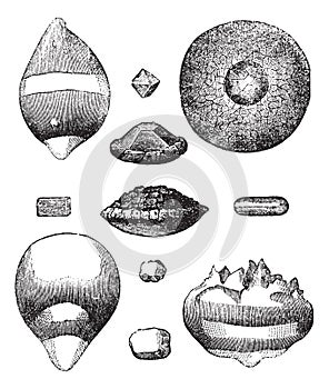 Different forms of hail vintage engraving