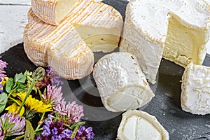 Different french cheeses