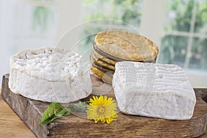 Different French cheeses on wooden board