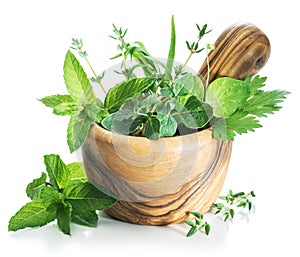 Different fresh green herbs in the wooden mortar.