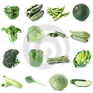 Different fresh green vegetables on white background