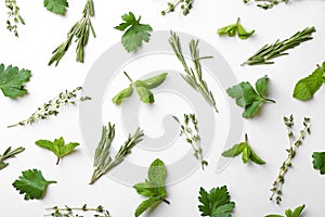 Different fresh herbs on white background