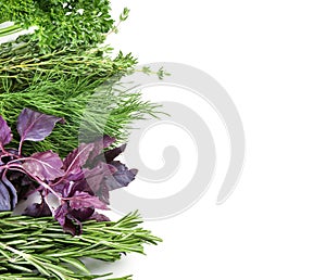 Different fresh herbs on white background