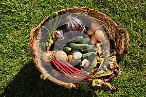 Different fresh ripe vegetables in wicker basket on green grass, top view