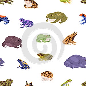 Different frogs and toads pattern. Seamless froggy background with realistic amphibian animals, repeating nature print photo