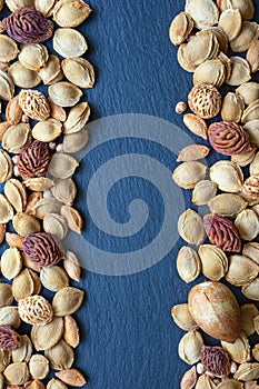 Fruit stones on dark background. Copy space photo