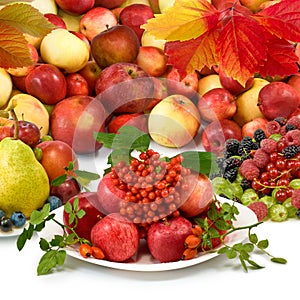 Different fruits closeup on white background