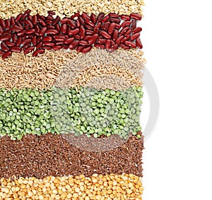 Different grains and cereals on white background, top view