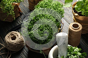 Different herbs, jute twine scissors and mortar on wooden background