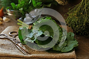 Different herbs, rusty scissors and burlap fabric on wooden table