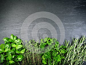 Different herbs on slate background