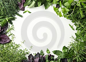 Different herbs on white background, space for text