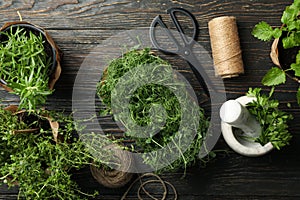 Different herbs on wooden background, top view