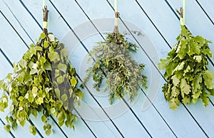 Different homemade fresh sauna whisks branches hanging and drying on blue wall.