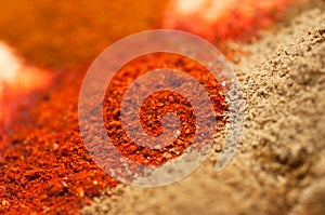 Different indian Curry spices