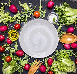 Different ingredients for salad, radish, cherry tomatoes and seasonings, the plates are laid out around, place text,frame top