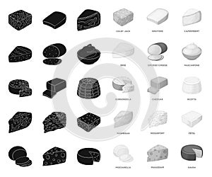 Different kind of cheese black.mono icons in set collection for design.Milk product cheese vector symbol stock web