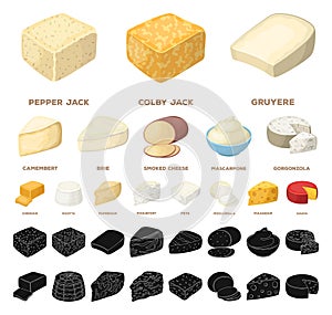 Different kind of cheese cartoon, black icons in set collection for design.Milk product cheese vector symbol stock web