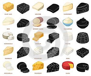 Different kind of cheese cartoon,black icons in set collection for design.Milk product cheese vector symbol stock web