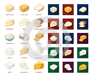 Different kind of cheese cartoon,flat icons in set collection for design.Milk product cheese vector symbol stock web