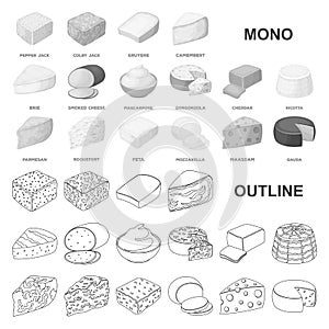Different kind of cheese monochrom icons in set collection for design.Milk product cheese vector symbol stock web