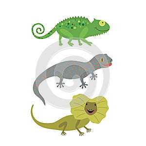 Different kind of lizards icons set.