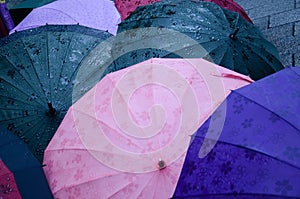 Different kind of umbrellas with different colors photo