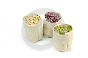Different kinds of beans in sacks bag on white background