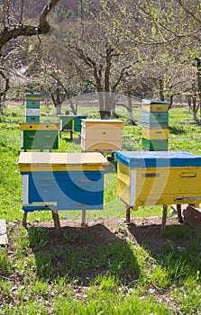 Different kinds of beehives