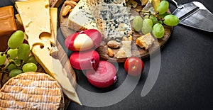 Different kinds of cheese for gourmet nutrition