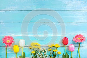 Different kinds of colorful flowers in line on blue wooden background.