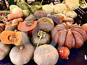 Different kinds of colorful and organic Italian pumpkins and cabbages at the farmerâ€™s market in Turin, Italy