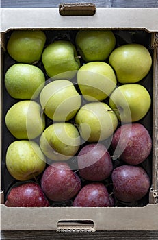 different kinds of green and red apples photo