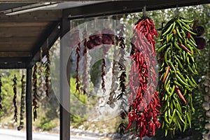 different kinds of hanging chili peppers, Apulia, Italy