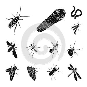 Different kinds of insects black icons in set collection for design. Insect arthropod vector isometric symbol stock web