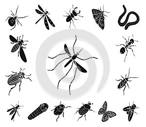 Different kinds of insects black icons in set collection for design. Insect arthropod vector isometric symbol stock web