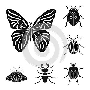 Different kinds of insects black icons in set collection for design. Insect arthropod vector symbol stock web