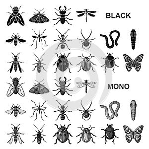 Different kinds of insects black icons in set collection for design. Insect arthropod vector symbol stock web photo