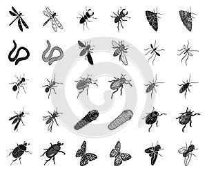 Different kinds of insects black,monochrome icons in set collection for design. Insect arthropod vector isometric symbol