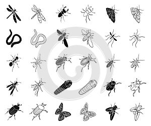 Different kinds of insects black,outline icons in set collection for design. Insect arthropod vector isometric symbol