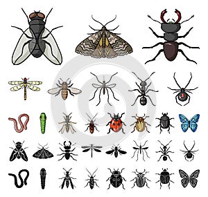 Different kinds of insects cartoon, black icons in set collection for design. Insect arthropod vector symbol stock web