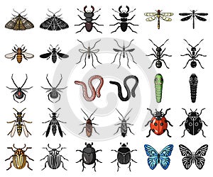 Different kinds of insects cartoon,black icons in set collection for design. Insect arthropod vector symbol stock web