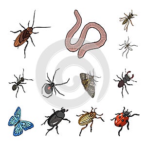 Different kinds of insects cartoon icons in set collection for design. Insect arthropod vector isometric symbol stock